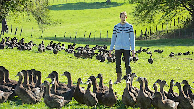 CANARD BASQUE - Le Kriaxera sauvé de justesse et primé au niveau national